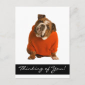 の考え英語ブルドッグ犬の子犬はがき ポストカード (正面)