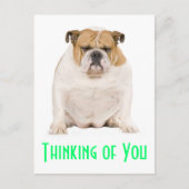 の考え英語ブルドッグ犬の子犬はがき ポストカード (正面)