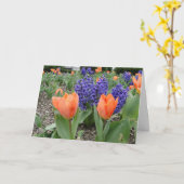 の考えYou、Tulip & Hyacinths カード (黄色い花)