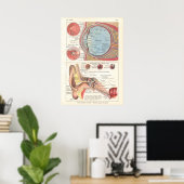 の耳解剖ポスフランスのター ポスター (ホームオフィス)