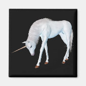 の聞磁石 マグネット (正面)