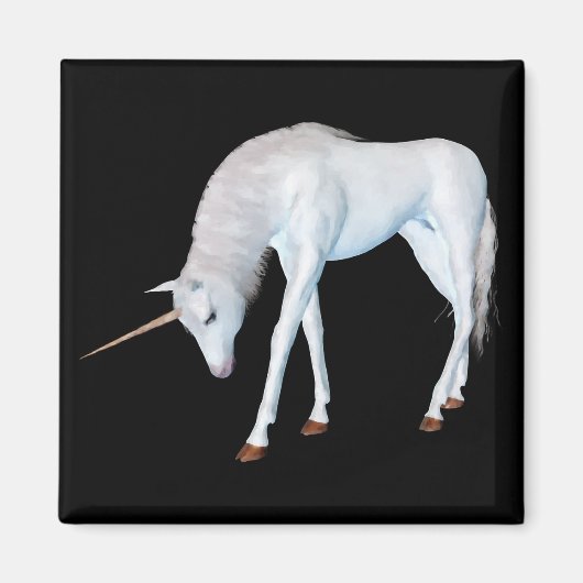 の聞磁石 マグネット (正面)