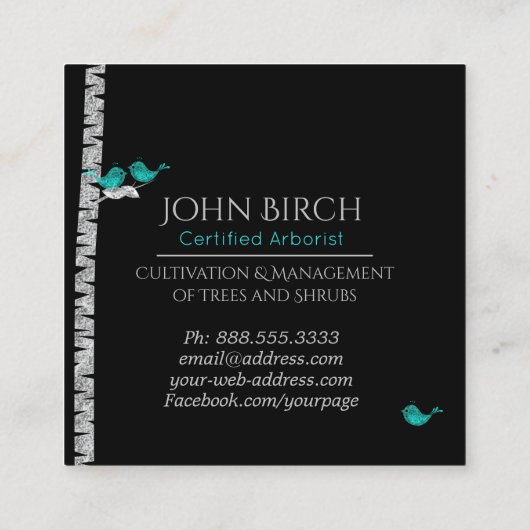 *~*の育樹専門家の木の医者樺の木の青の鳥 スクエア名刺 (裏面)