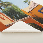 ～の茶色のコンクリート建物の横の緑のヤシ  シェルパブランケット (3/4)