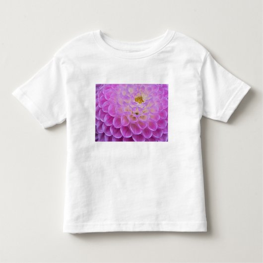 〜の菊飾花の墓場 トドラーTシャツ (正面)