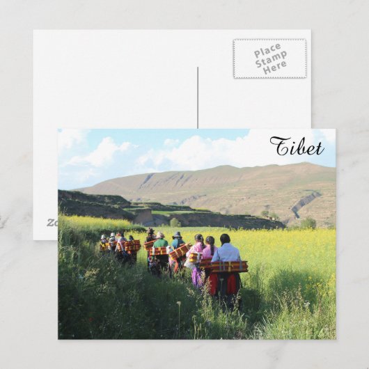 の賛美村 ポストカード (正面/裏面)