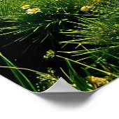 の転がグリーンヒルズ春 ポスター (角)