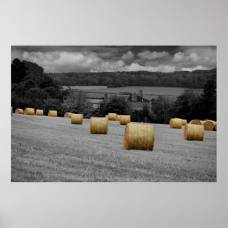 の転がホーム ポスター