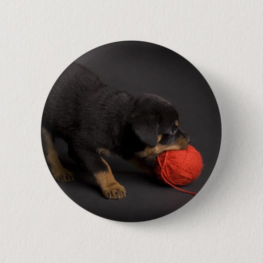 の遊子犬1 缶バッジ (正面)