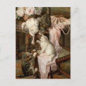 の遊子猫 ポストカード (正面)