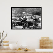 の遊Rock Creek Park Washington, DC 1922 ポスター (キッチン)