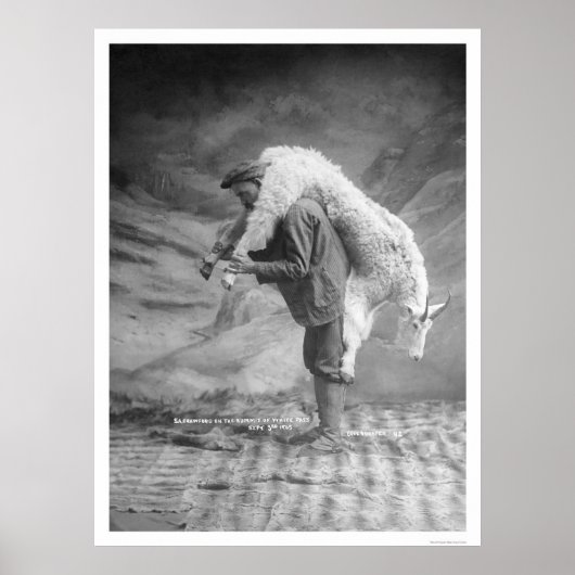 の運ヤギ・アラスカ1905 ポスター (正面)