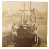 の銀行のエジプトの潅漑機械 タイル (正面)