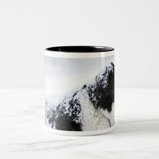 の間にあっている牧羊犬(Akbashかコリーの組合せ) ツートーンマグカップ (中央)