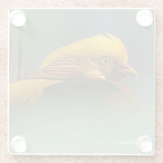 の間の金離れのキジ ガラスコースター (裏面)