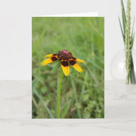 の間野生の花Notecards (中ブランク) カード