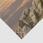 の頼天使ティッシュペーパー 薄葉紙 (詳細)