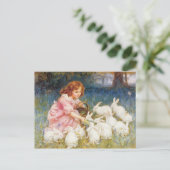 の食べ物を与えウサギ ポストカード (スタンド正面)