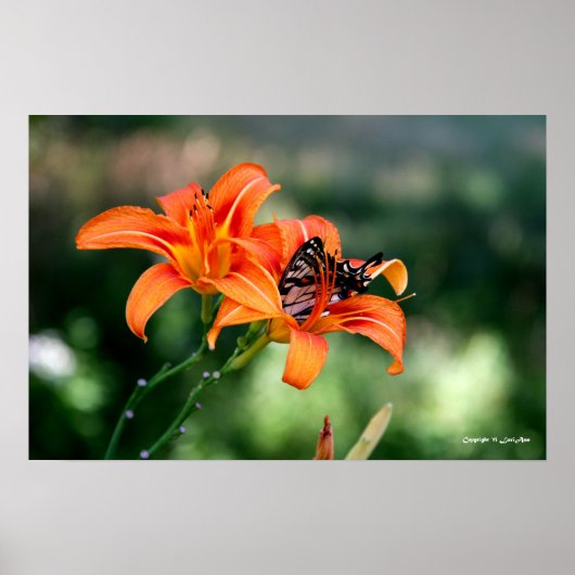 の食べ物を与えユリでの時間4 ポスター (正面)