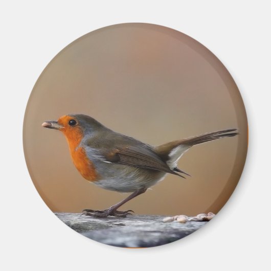 の食べ物を与えロビン磁石 マグネット (正面)