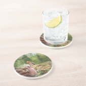 の食べ物を与え時刻 コースター (側面)