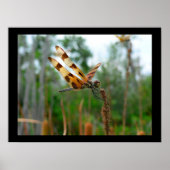 の食べ物を与え時刻 ポスター (正面)