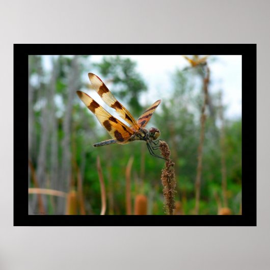 の食べ物を与え時刻 ポスター (正面)