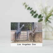 の食べ物を与え時刻 ポストカード (スタンド正面)