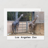 の食べ物を与え時刻 ポストカード (正面/裏面)