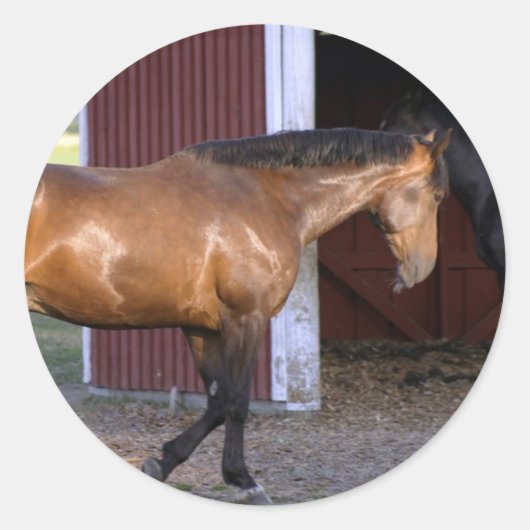 の食べ物を与え時刻 ラウンドシール (正面)