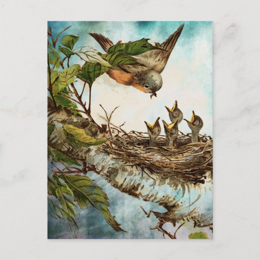 の食べ物を与え時間 ポストカード (正面)