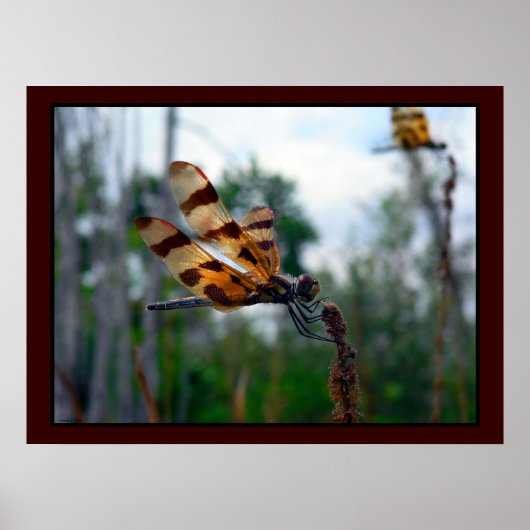 の食べ物を与え時間II ポスター (正面)