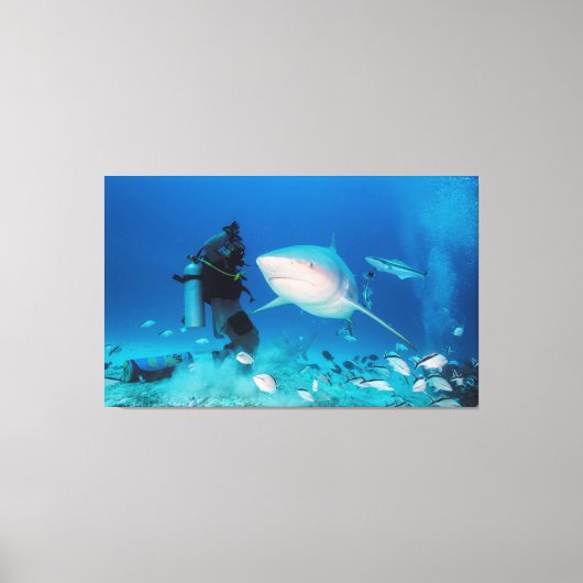 の食べ物を与え雄牛 キャンバスプリント (正面)