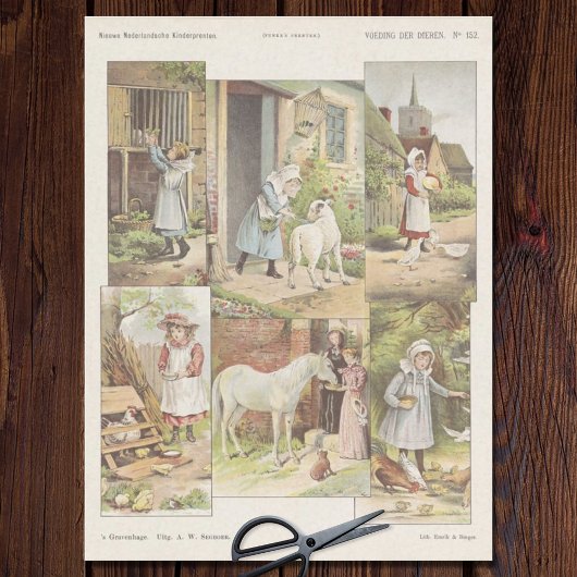 の食べ物を与え飼育動物の分離 薄葉紙