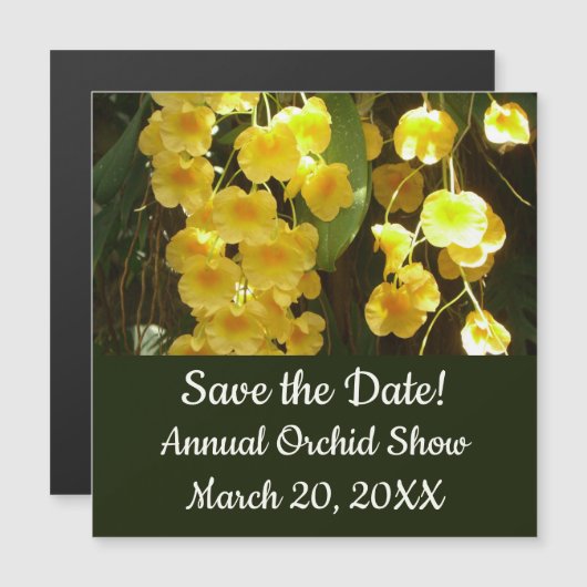 の黄色ぶら下がったい蘭の熱帯花 (正面/裏面)