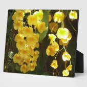 の黄色ぶら下がったい蘭の熱帯花 フォトプラーク (側面)