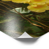 の黄色ぶら下がったい蘭の熱帯花 フォトプリント (角)