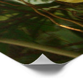 の黄色ぶら下がったい蘭の熱帯花 ポスター (角)