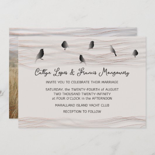 の黒結婚バラ粉末繊細なフォートコテージ 招待状 (正面/裏面)