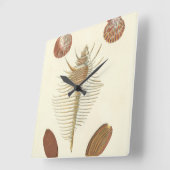 の5親切な貝殻 スクエア壁時計 (傾斜)