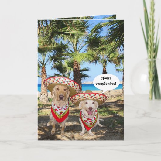 ¡のFelizのcumpleaños! カード (正面)