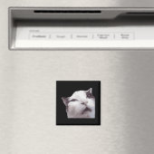 はぁ！ネコミーム マグネット (インサイチュ (食洗機))