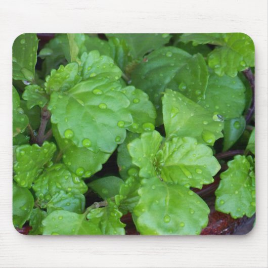 はうチャーリー マウスパッド (正面)