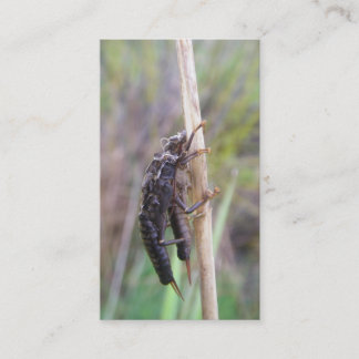 はえの魚釣りの見出しカード 名刺