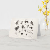 はえの魚釣りを曲げるヴィンテージの19世紀は古いホックを飛ばします カード (黄色い花)