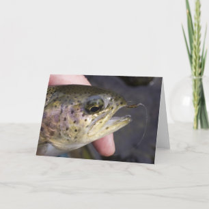はえの魚釣り-カードで引っ掛けられる カード