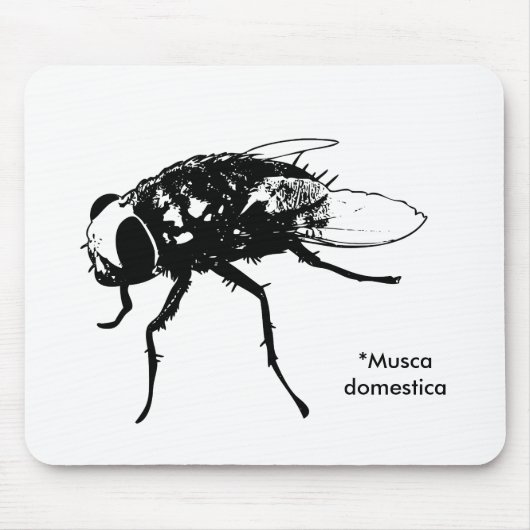 はえ座のdomesticaのmousepad マウスパッド (正面)