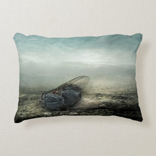 はえ2013年 アクセントクッション (正面)