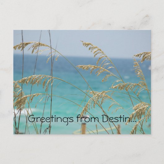 はがきからの挨拶 ポストカード (正面)