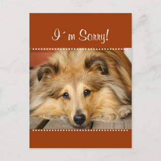 はがきが悪い ポストカード